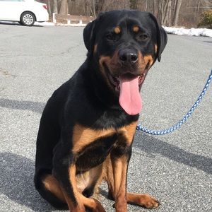 Meet your Posher, Diane